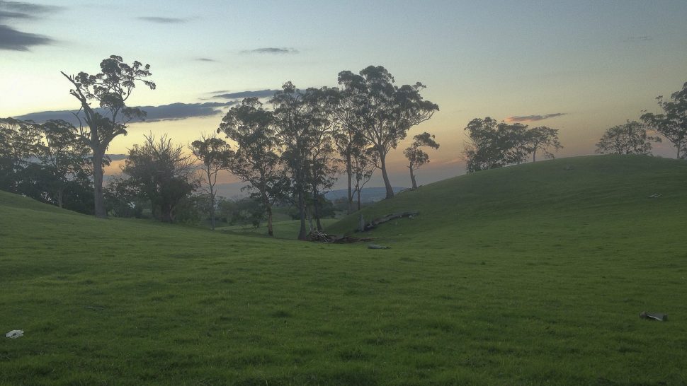 a green field with a bunch of trees